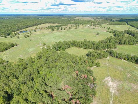 20720 N Us Highway 59 Corrigan TX 75939