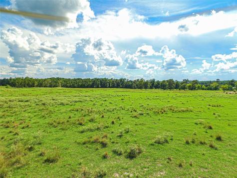 20720 N Us Highway 59 Corrigan TX 75939