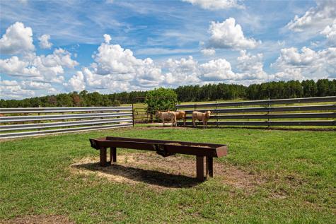20720 N Us Highway 59 Corrigan TX 75939