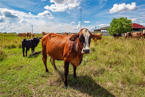 20720 N Us Highway 59 Corrigan TX 75939