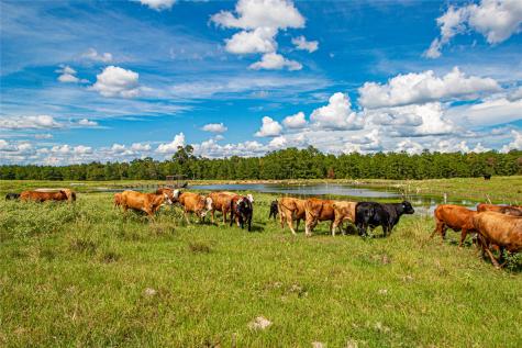 20720 N Us Highway 59 Corrigan TX 75939