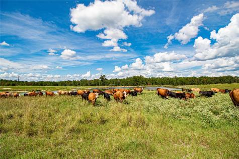 20720 N Us Highway 59 Corrigan TX 75939