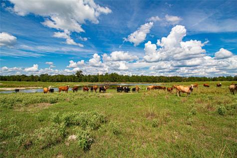 20720 N Us Highway 59 Corrigan TX 75939