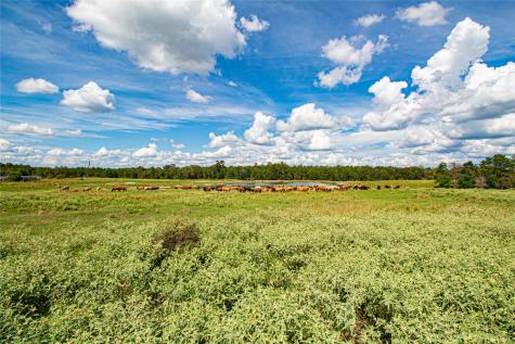 20720 N Us Highway 59 Corrigan TX 75939