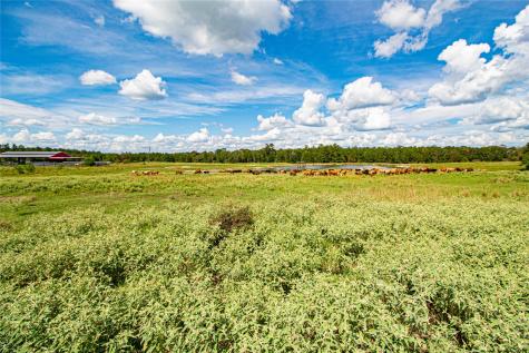 20720 N Us Highway 59 Corrigan TX 75939