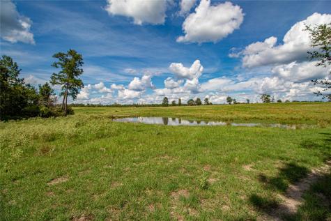 20720 N Us Highway 59 Corrigan TX 75939