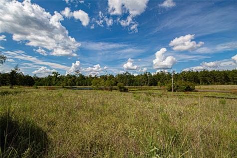 20720 N Us Highway 59 Corrigan TX 75939