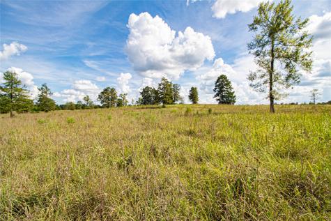 20720 N Us Highway 59 Corrigan TX 75939