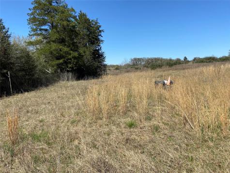 1111 Luu Road Calvert TX 77837