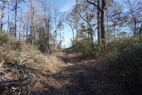 9001 Private Road 2851 Buffalo TX 75831