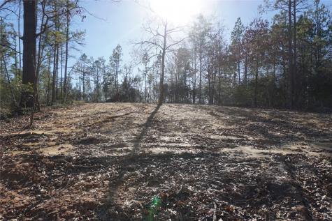 9301 Private Road 2851 Tract 2 Buffalo TX 75831
