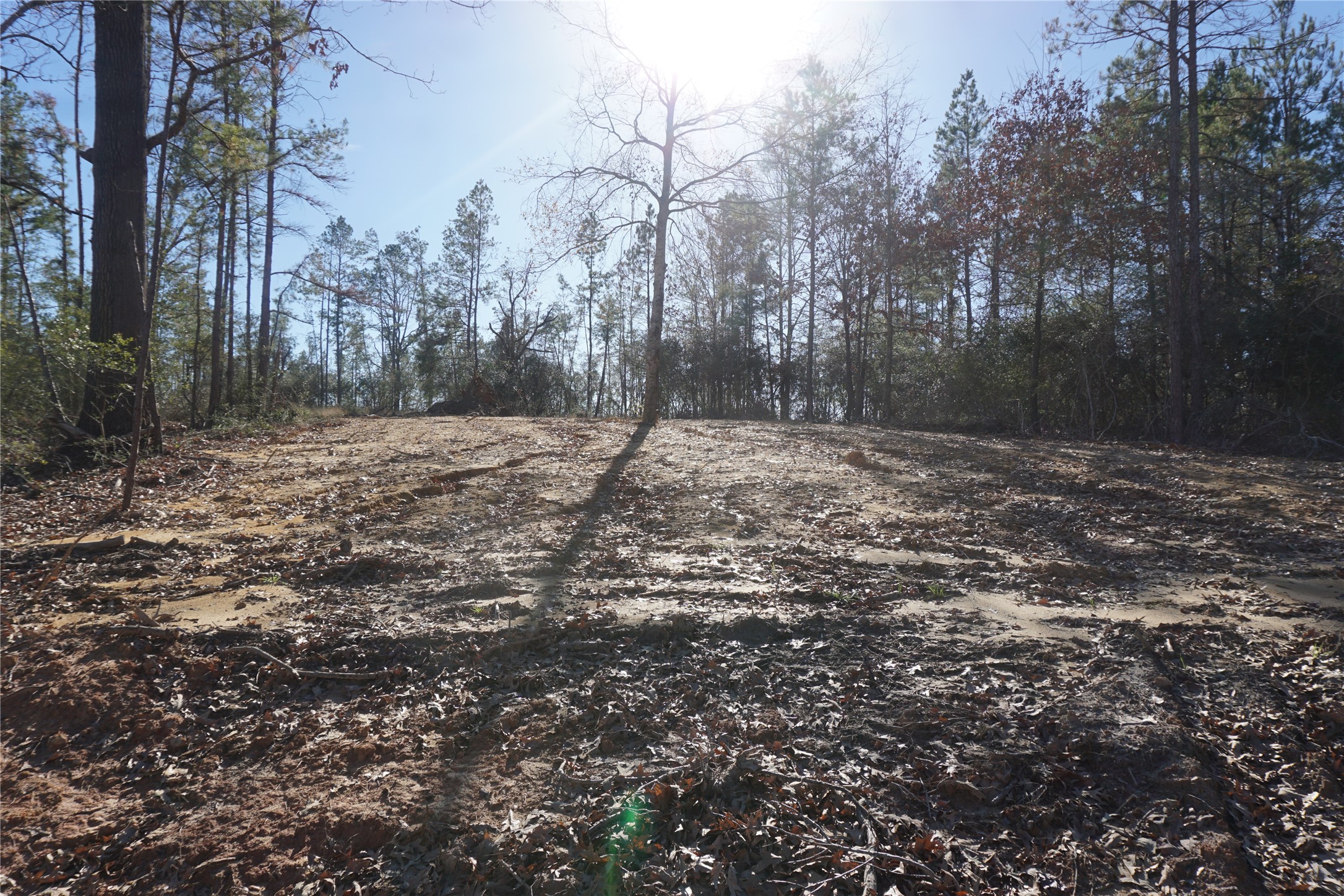 9301 Private Road 2851 Tract 2 Buffalo TX 75831