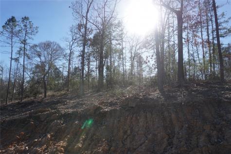 9301 Private Road 2851 Tract 2 Buffalo TX 75831