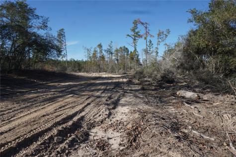9301 Private Road 2851 Tract 2 Buffalo TX 75831