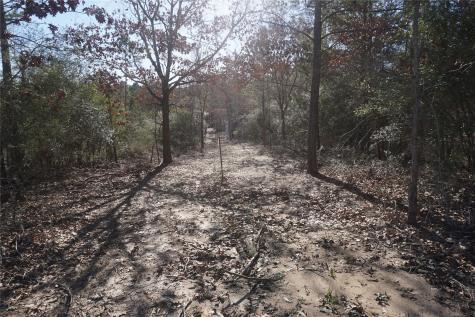 9301 Private Road 2851 Tract 2 Buffalo TX 75831