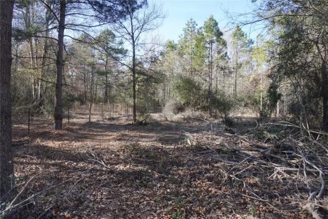 9301 Private Road 2851 Tract 2 Buffalo TX 75831