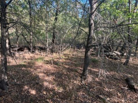 Tbd Fm 71 East Talco TX 75487