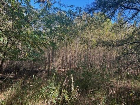 Tbd Fm 71 East Talco TX 75487