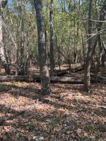 Tbd Fm 71 East Talco TX 75487