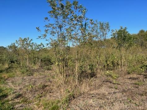Tbd Fm 71 East Talco TX 75487
