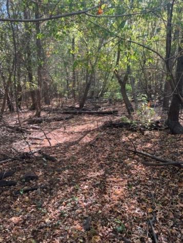 Tbd Fm 71 East Talco TX 75487