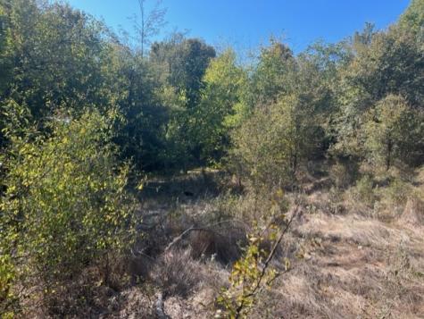 Tbd Fm 71 East Talco TX 75487