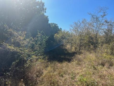 Tbd Fm 71 East Talco TX 75487