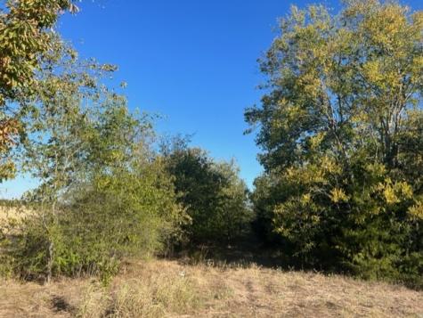 Tbd Fm 71 East Talco TX 75487