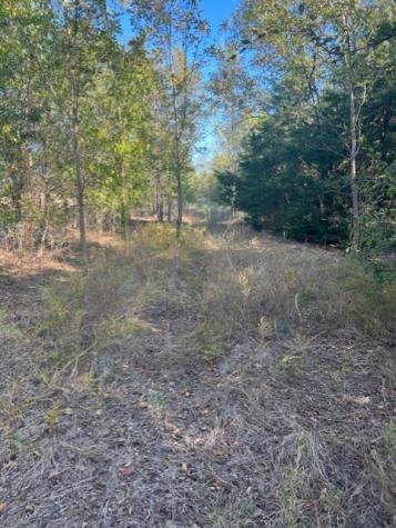 Tbd Fm 71 East Talco TX 75487