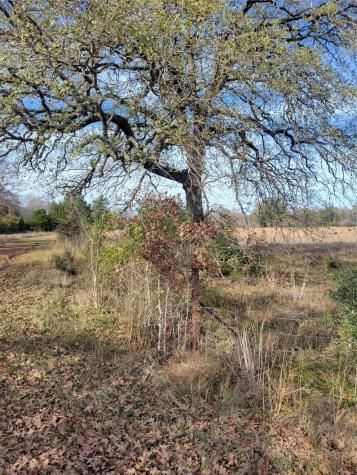 1 Navarro Lane Grapeland TX 75855