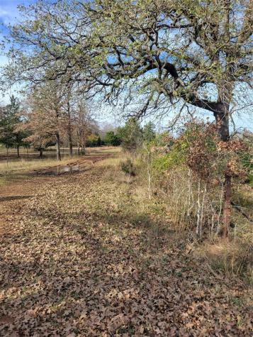 1 Navarro Lane Grapeland TX 75855