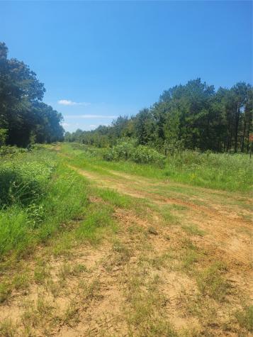 1 Navarro Lane Grapeland TX 75855