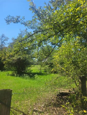 1 Navarro Lane Grapeland TX 75855