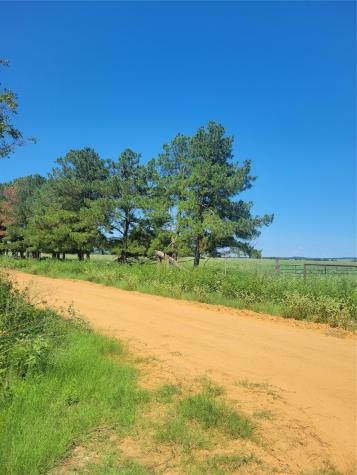 1 Navarro Lane Grapeland TX 75855