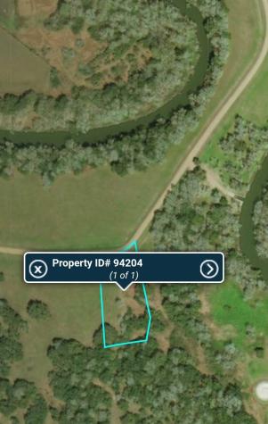 90 River Tree Drive Blessing TX 77419