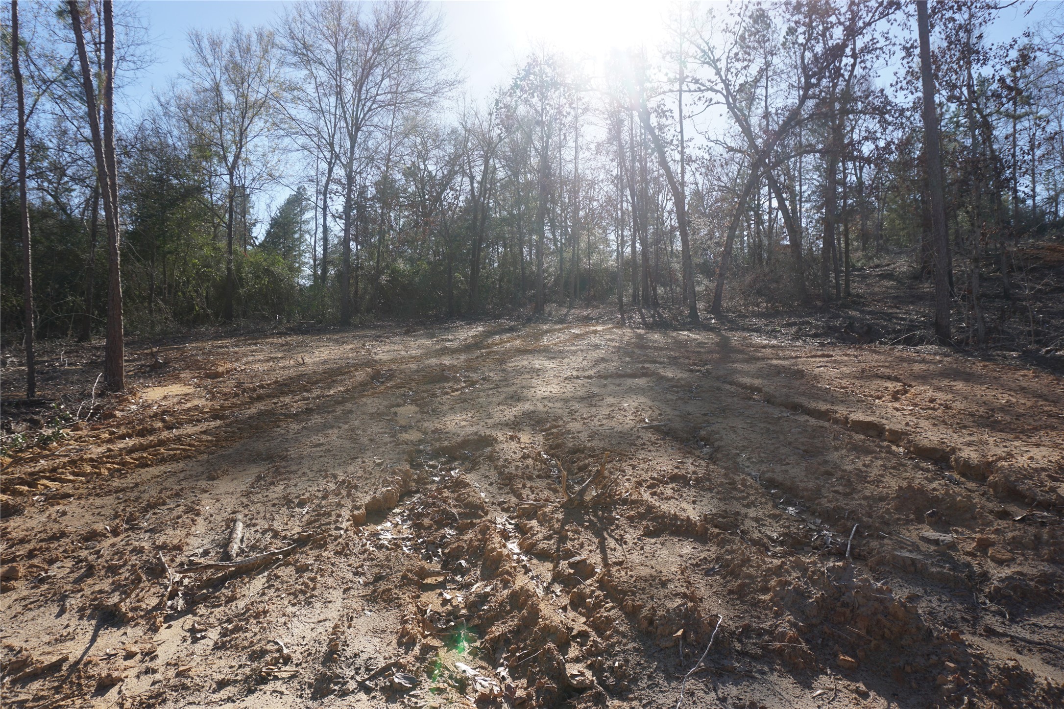 9223 Private Road 2851 Buffalo TX 75831