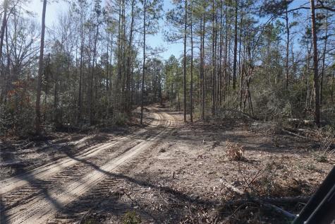 9223 Private Road 2851 Buffalo TX 75831