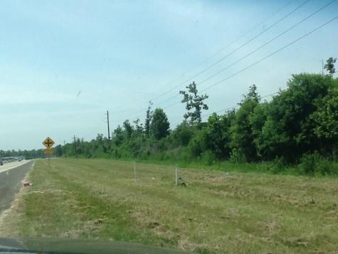 1201 Bypass Highway 146 Bypass Liberty TX 77575