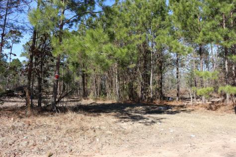 6-2 N Highway 356 Onalaska TX 77360