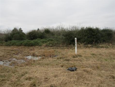 Tbd I-10 Frontage Road Cat Spring TX 78933