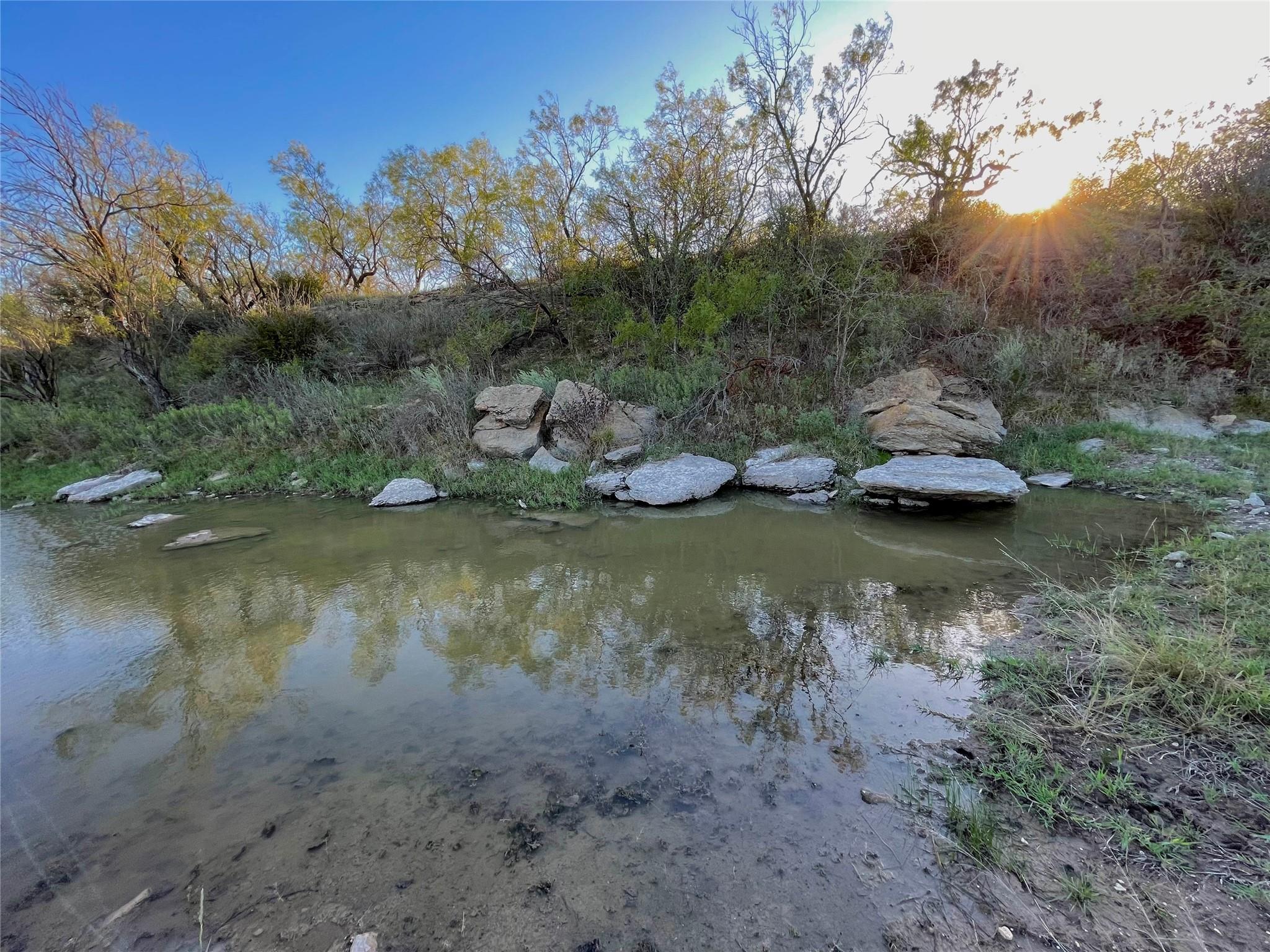 1000 Creek 116 Ballinger TX 76821