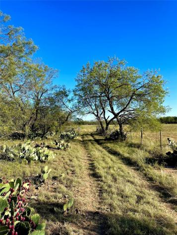1000 Creek 116 Ballinger TX 76821
