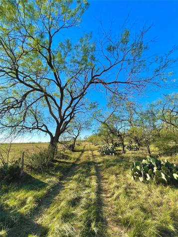 1000 Creek 116 Ballinger TX 76821