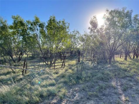 1000 Creek 116 Ballinger TX 76821