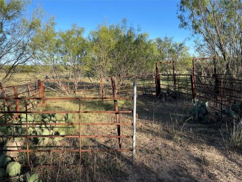 1000 Creek 116 Ballinger TX 76821