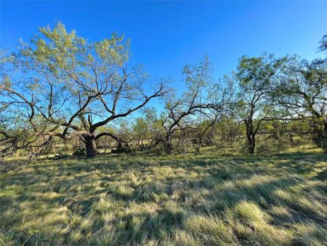 1000 Creek 116 Ballinger TX 76821