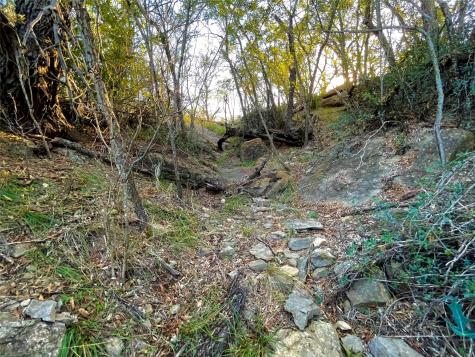 1000 Creek 116 Ballinger TX 76821