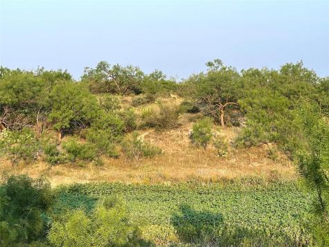 1000 Creek 116 Ballinger TX 76821