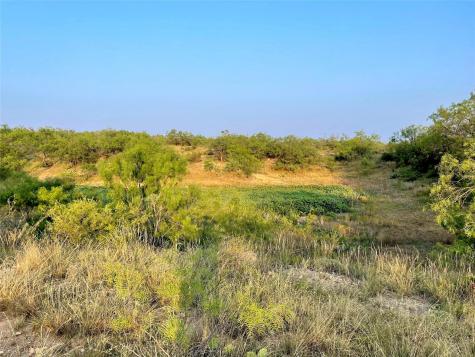 1000 Creek 116 Ballinger TX 76821