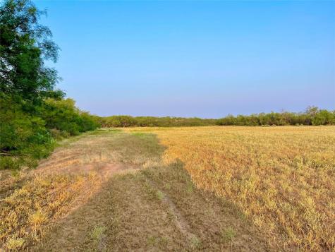 1000 Creek 116 Ballinger TX 76821